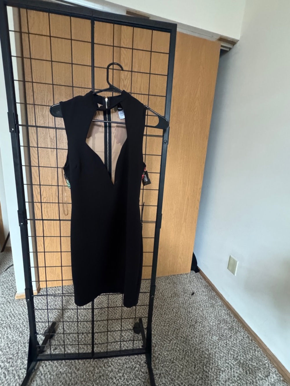 Sleeveless Black V-Neck Bodycon Dress